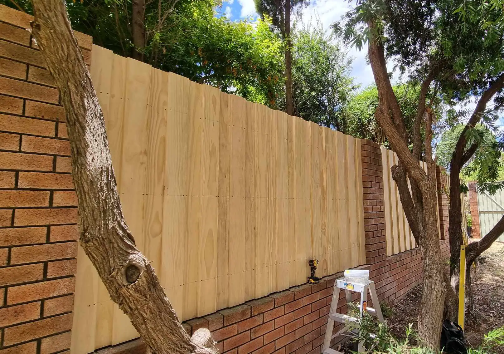 Timber Fence